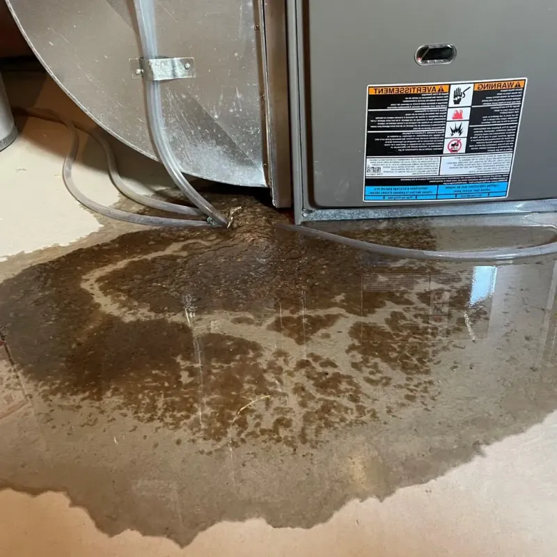 Pipe Burst and Leak Restoration in Plainville, MA