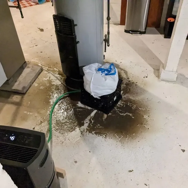 Sewage Backup Cleanup Service in Plainville, MA